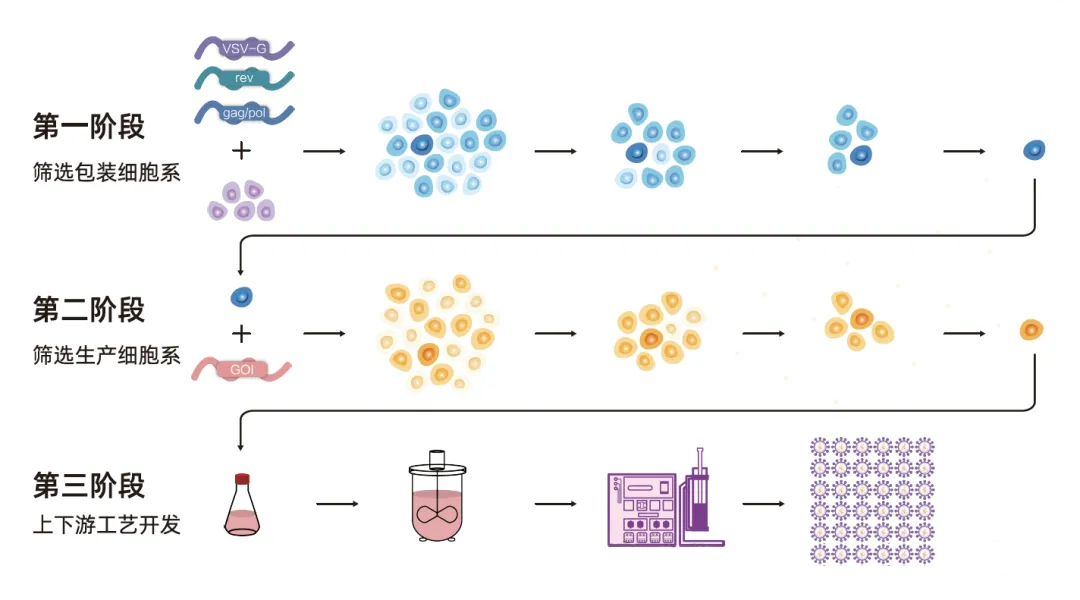 單細胞打印，加速In Vivo CAR-T抗癌新療法